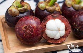 娱乐吃瓜酱山竹,娱乐吃瓜酱的神秘魅力揭秘